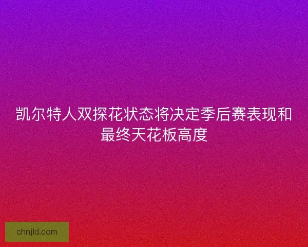 凯尔特人双探花状态将决定季后赛表现和最终天花板高度