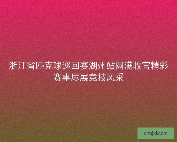 浙江省匹克球巡回赛湖州站圆满收官精彩赛事尽展竞技风采